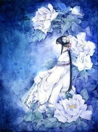 鹿鼎记续集