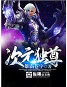 《次元獨尊》