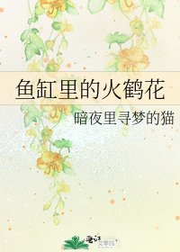 《魚缸裏的火鶴花》