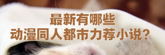 最新有哪些动漫同人都市力荐小说？