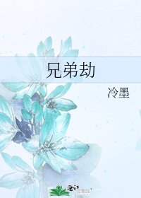 《兄弟劫》