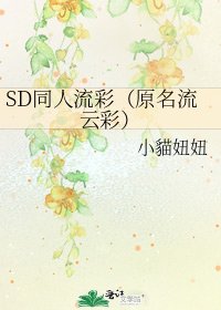 《SD同人流彩(原名流雲彩)》