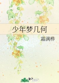 《少年夢幾何》
